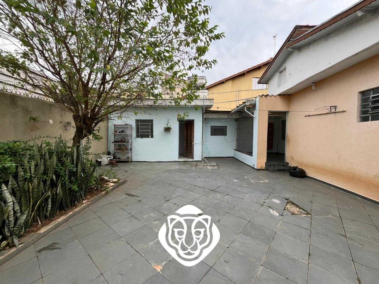 Quintal dos fundos descoberto