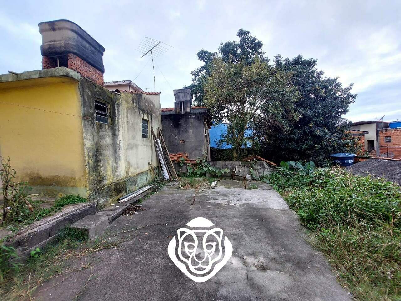 Terreno