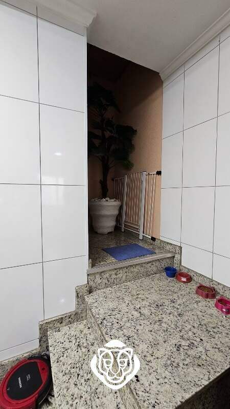 Escada de acesso / cobertura 