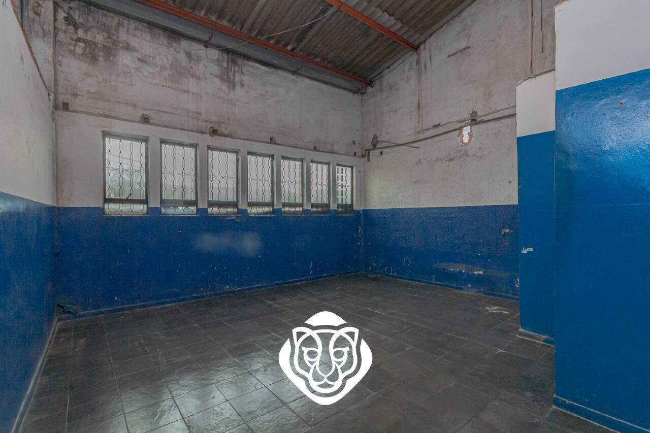 Sala V