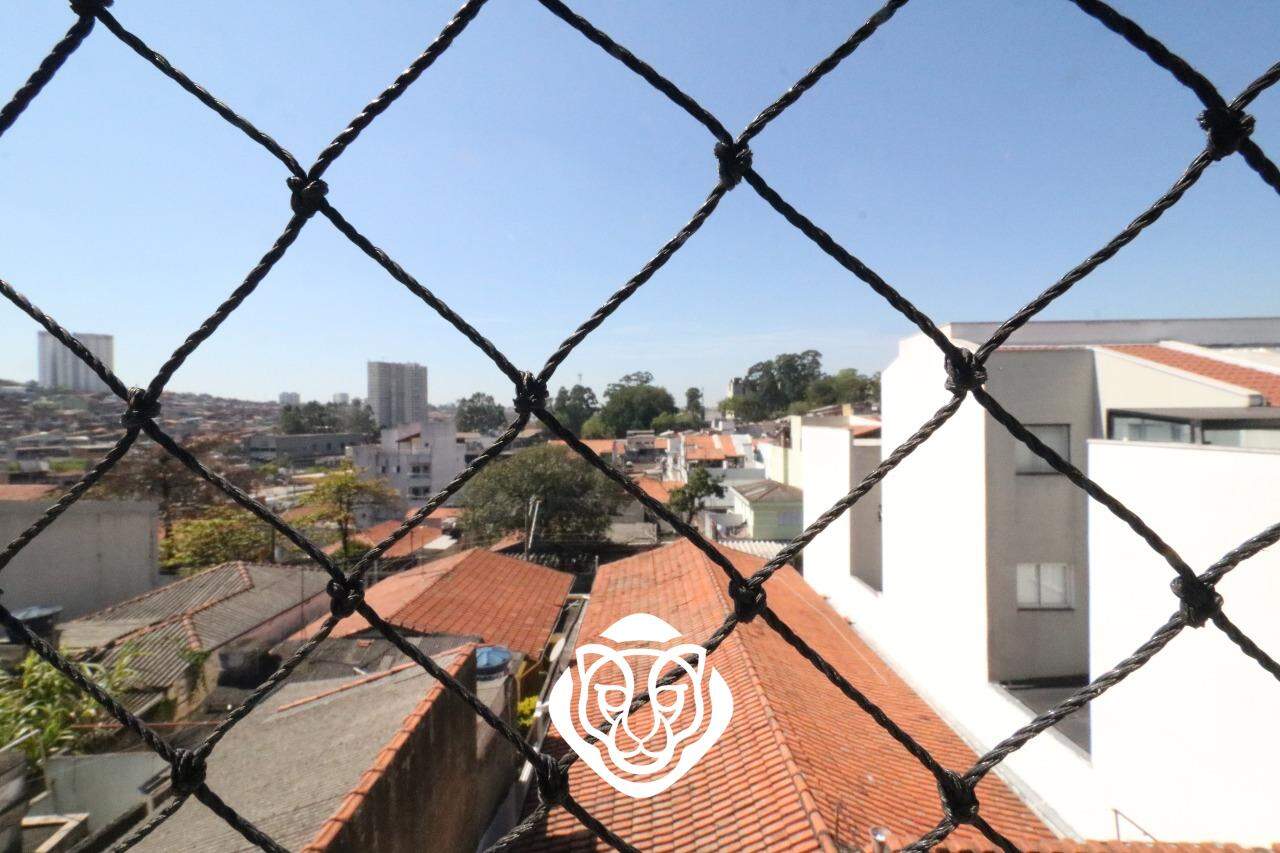 Vista