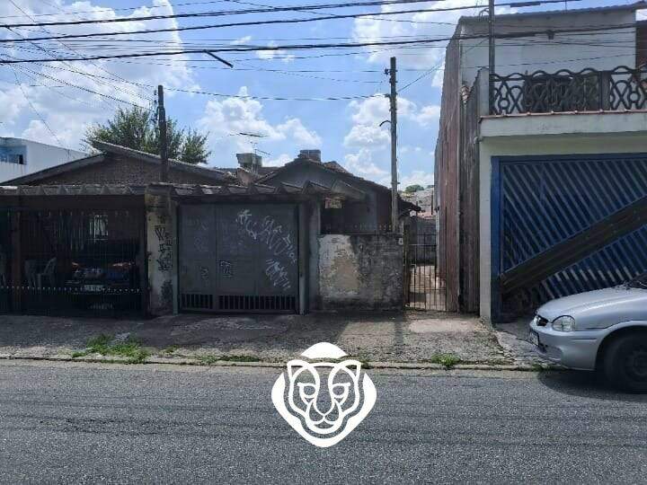 Frente