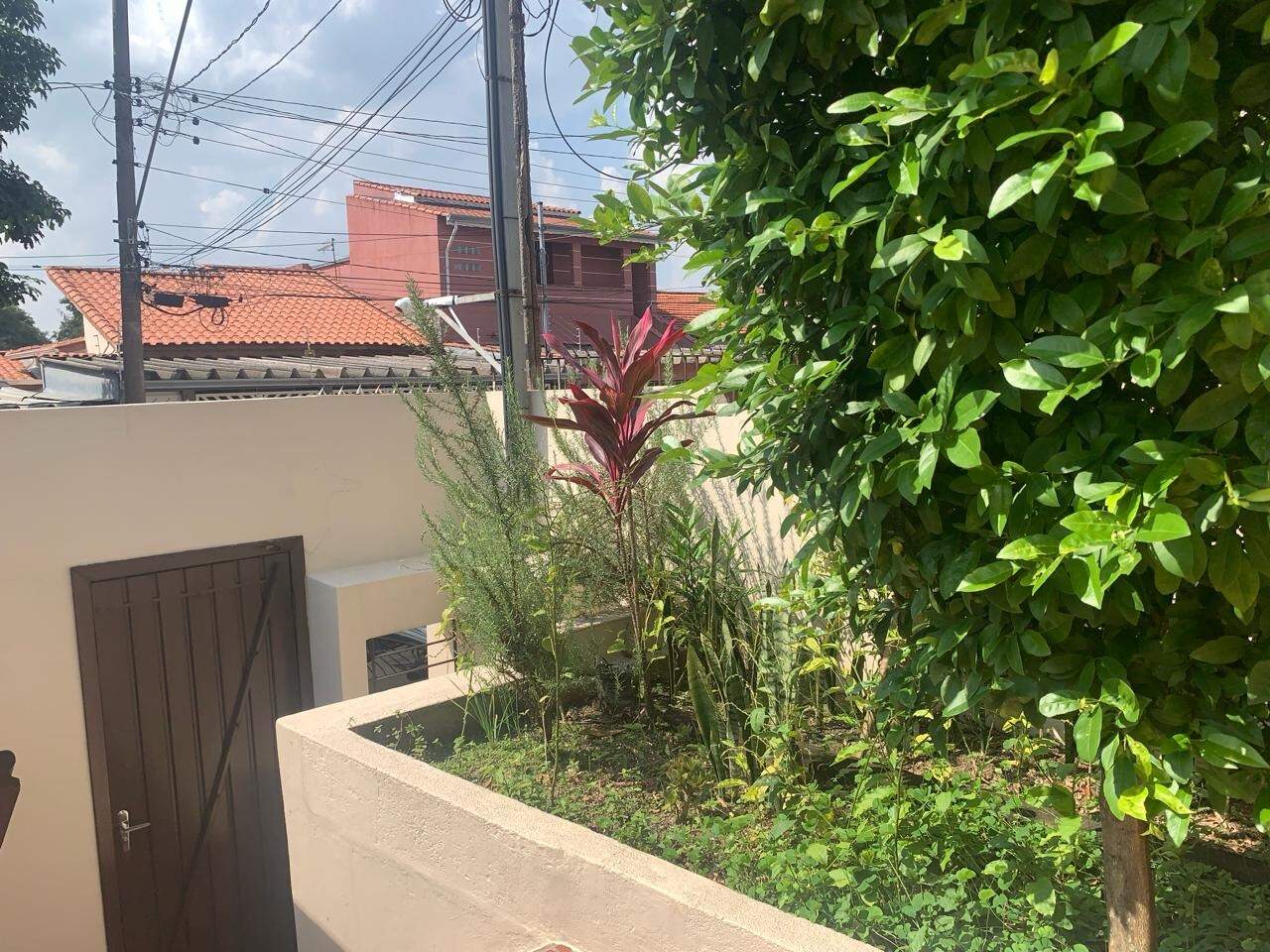 Jardim 