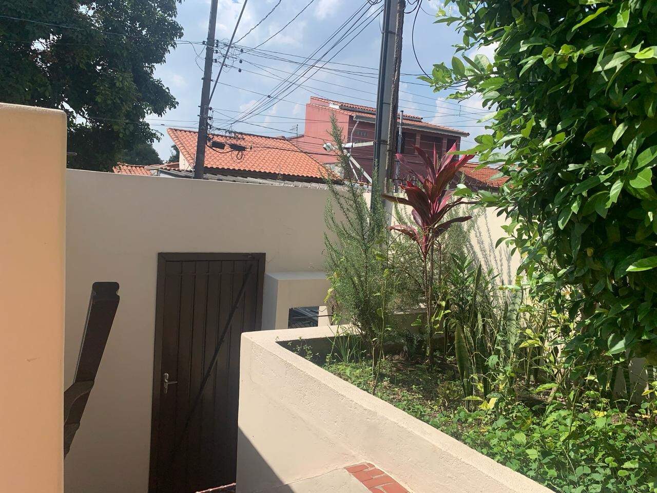Jardim 
