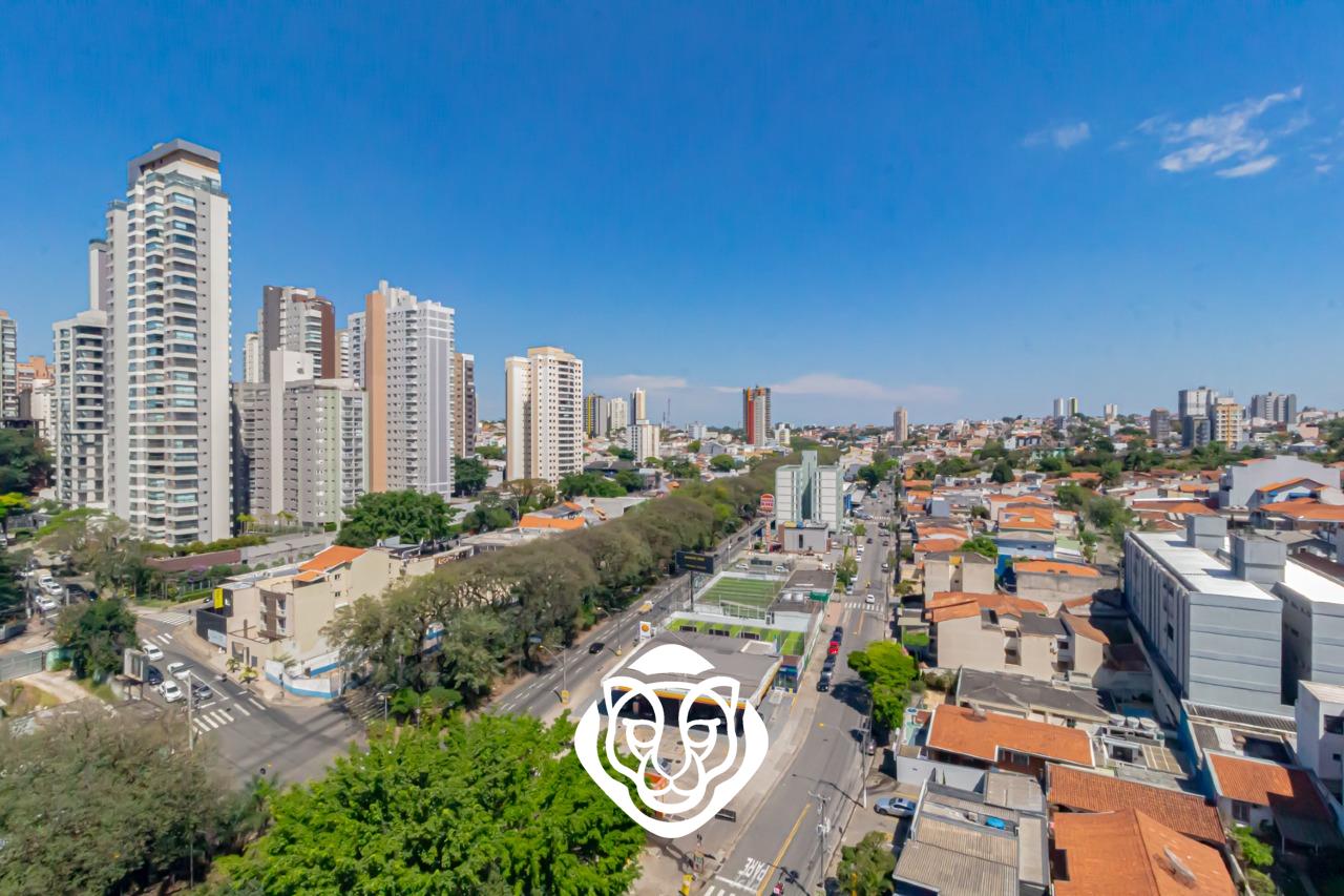 Vista