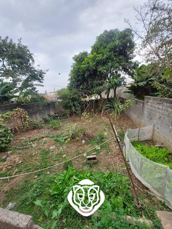 Terreno fundos 