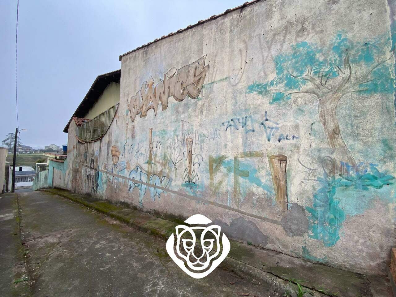 Viela de acesso casa II