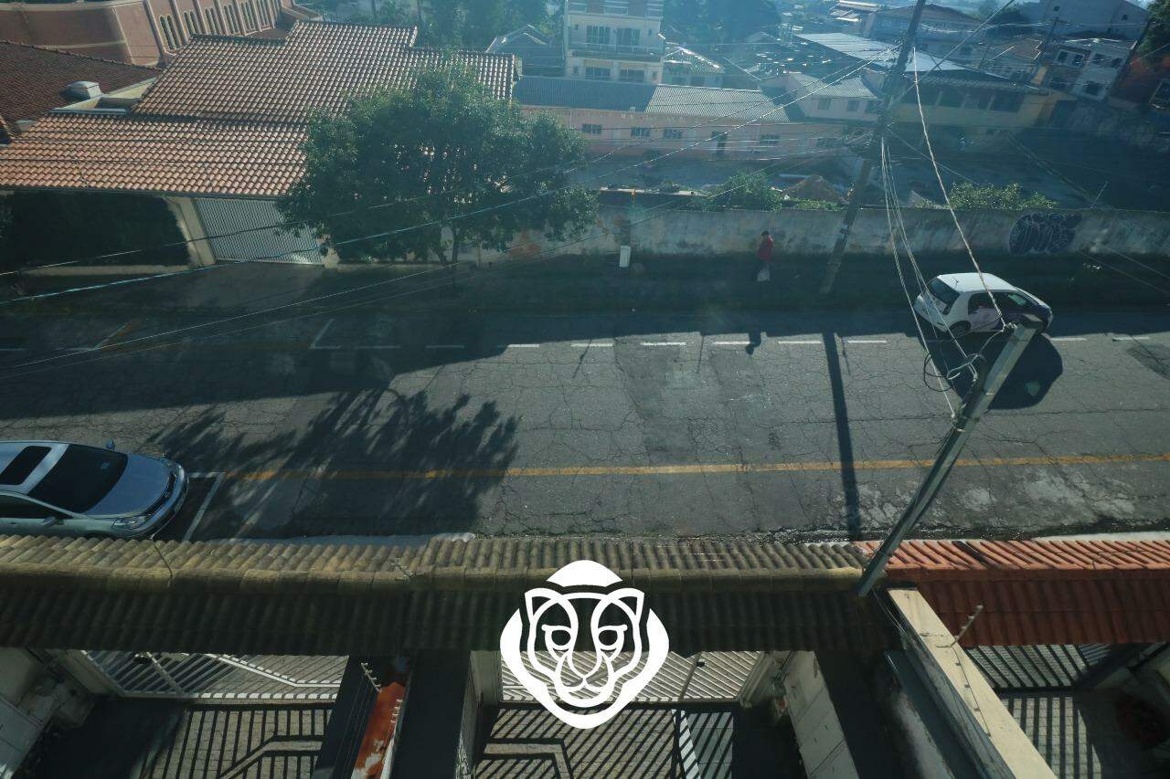 Vista 