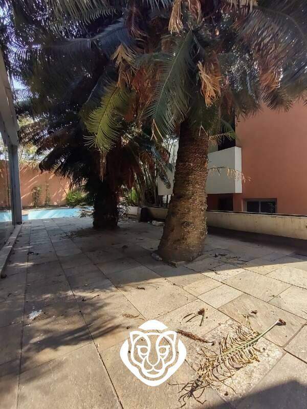 Quintal
