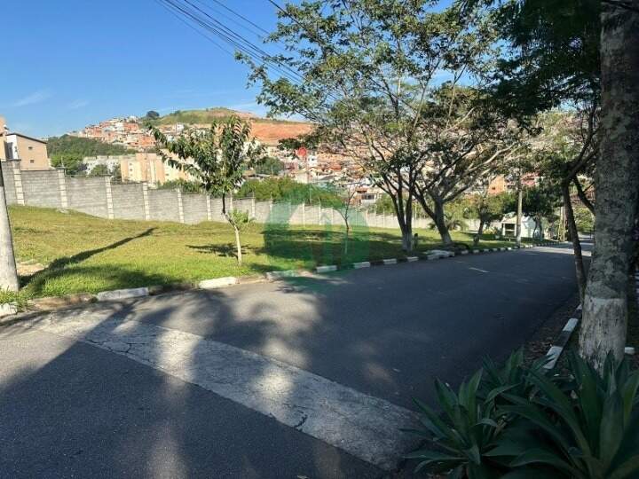 terreno