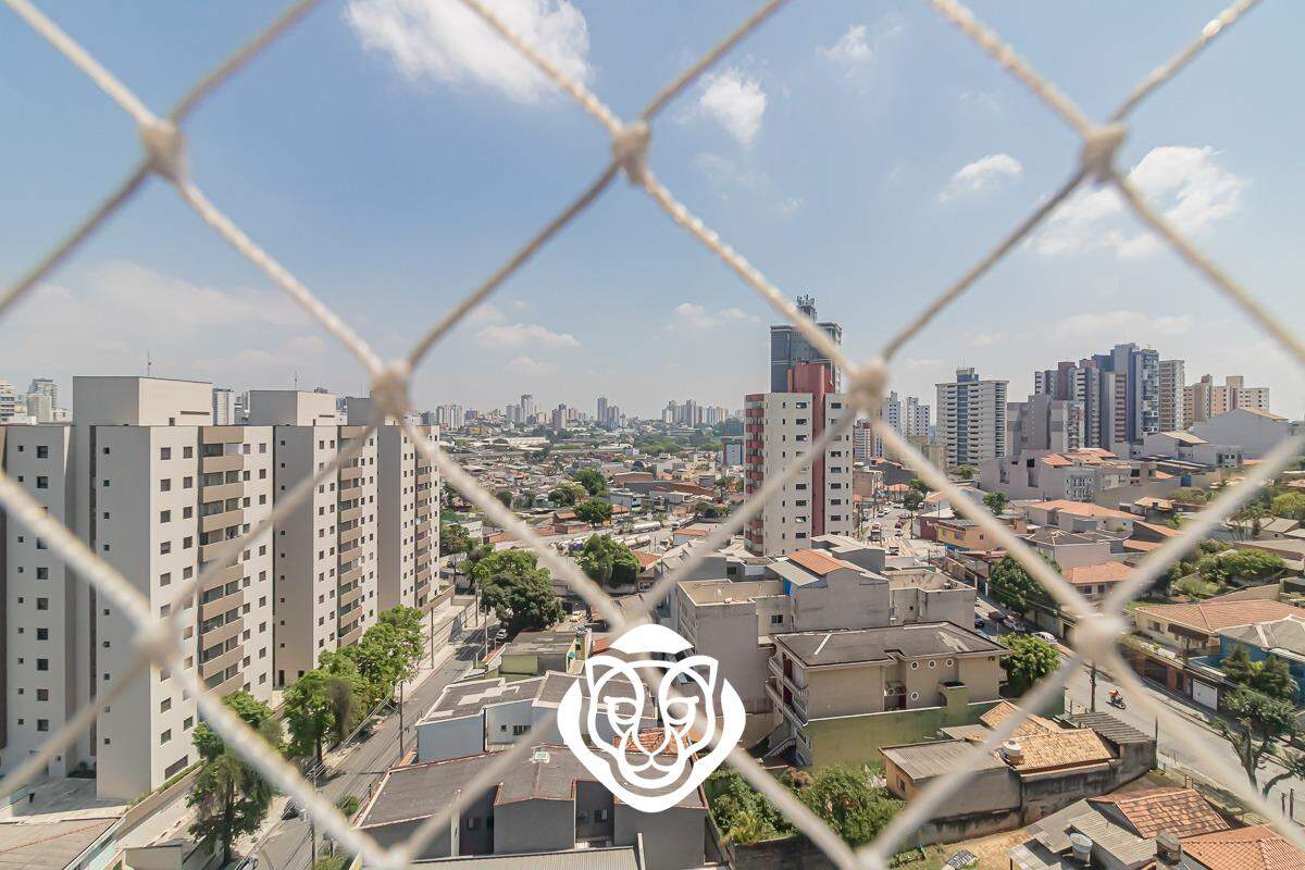 Vista