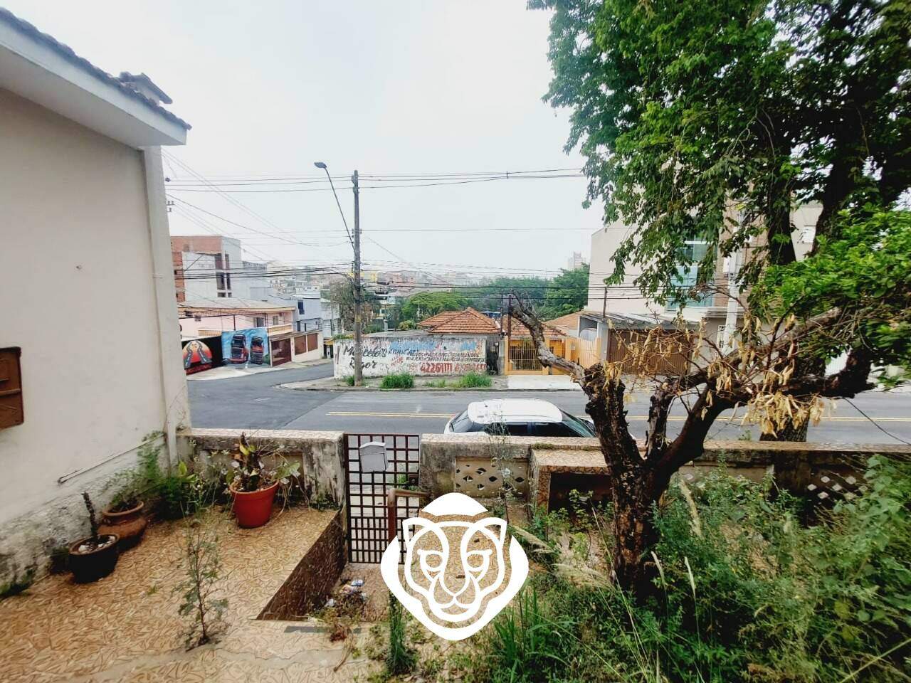 Quintal 