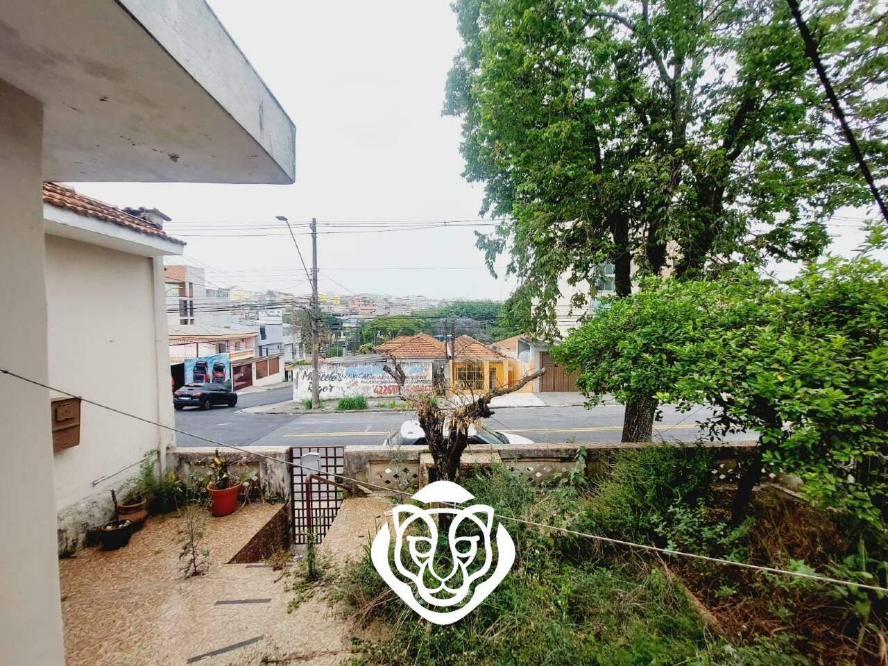 Quintal e jardim 