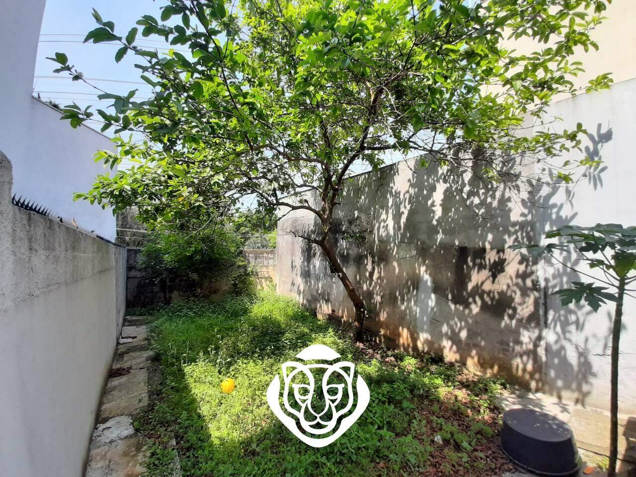 Jardim