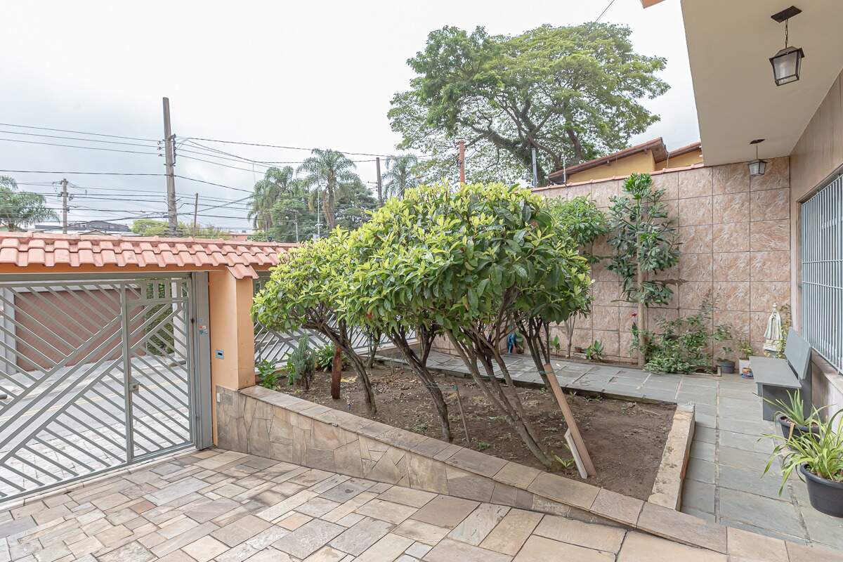 Jardim