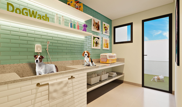 Dog wash