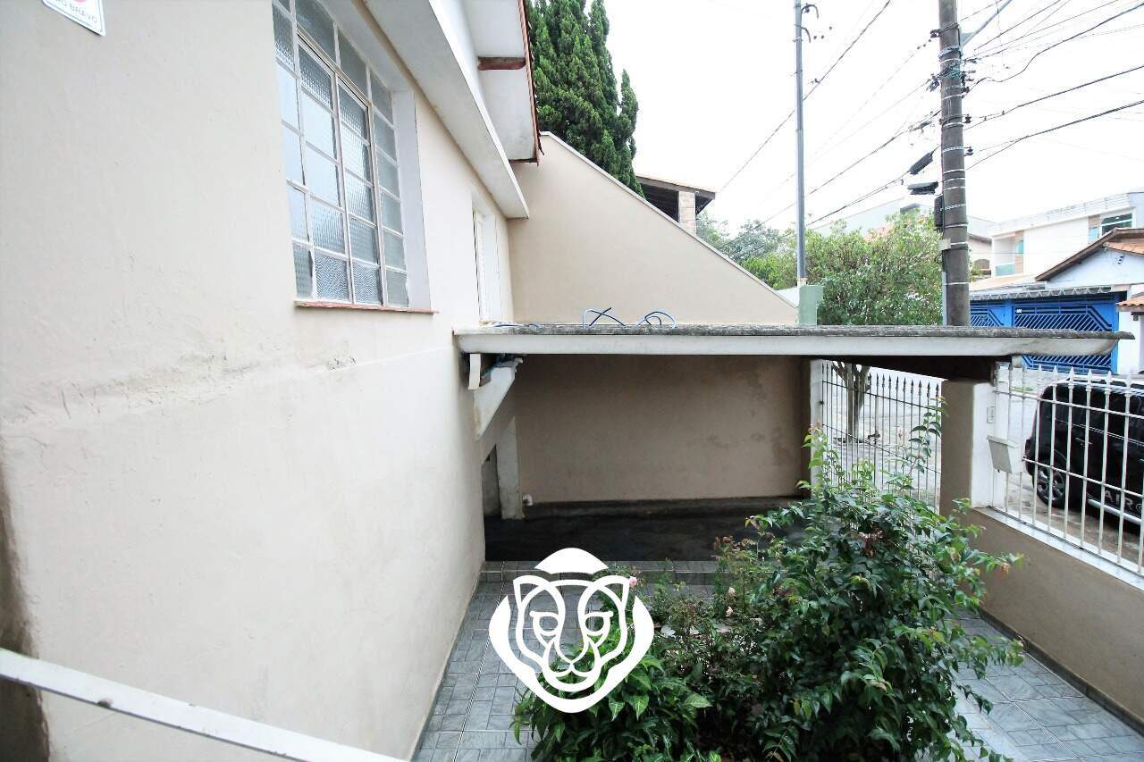 Jardim 