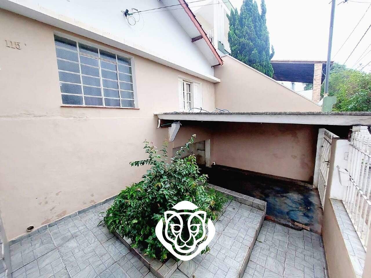 Jardim 