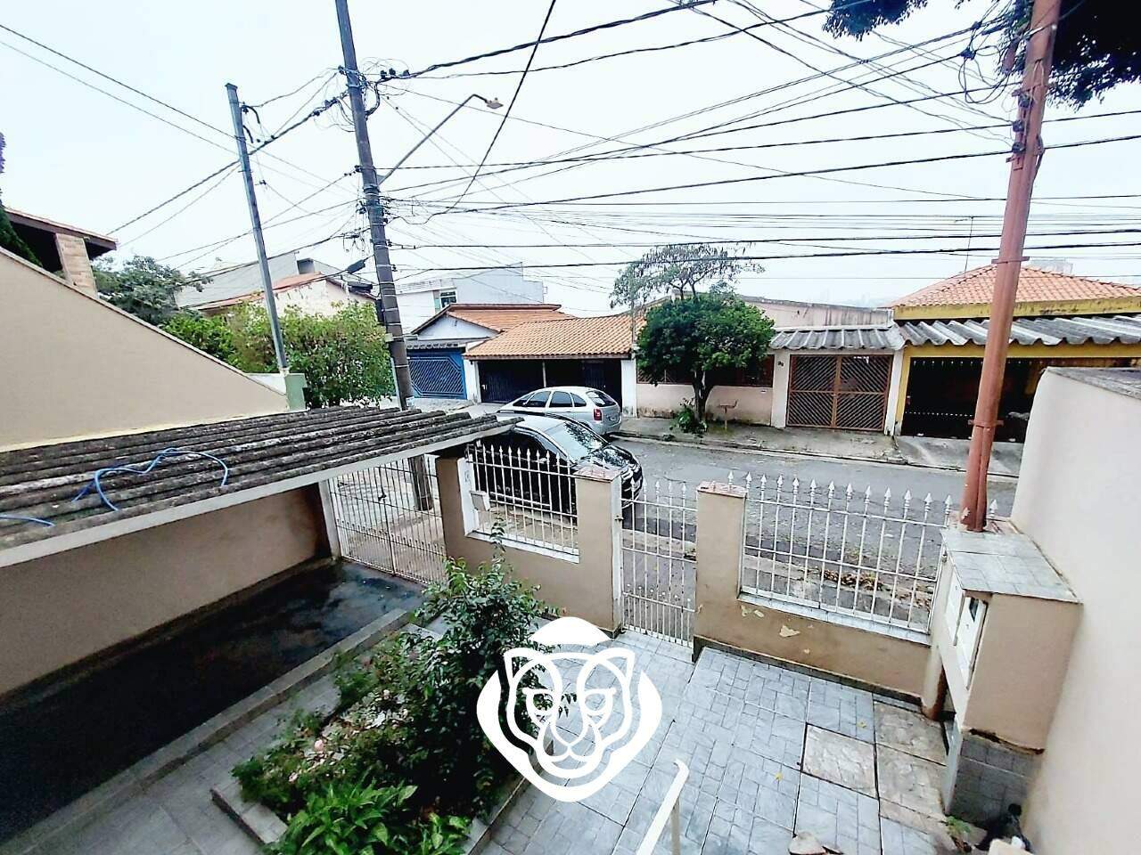 Jardim 