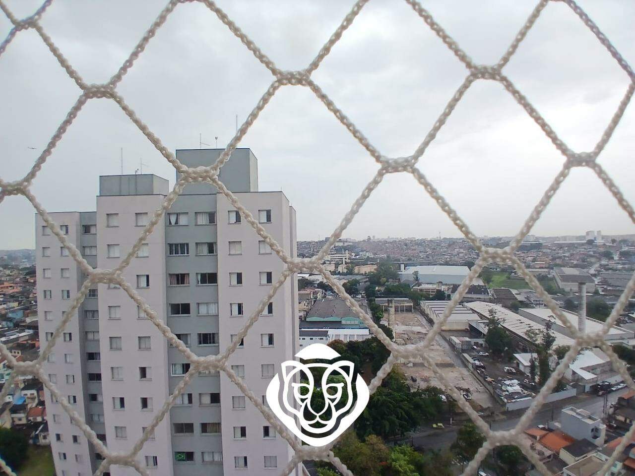 Vista