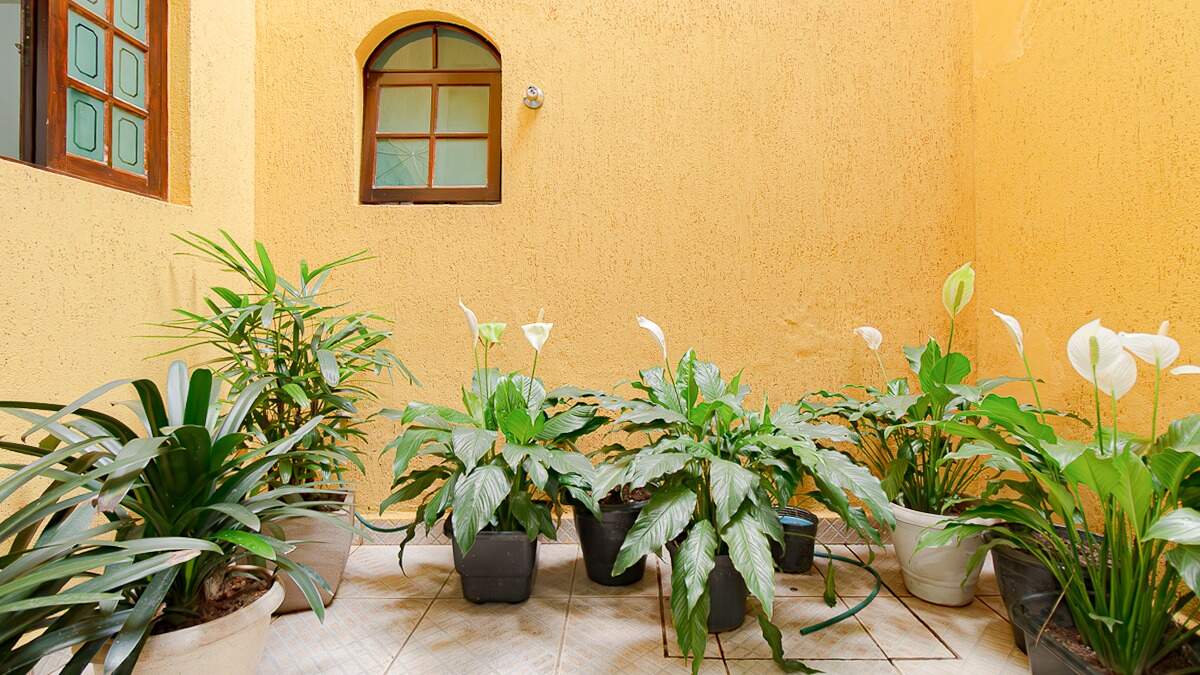 Poço de luz