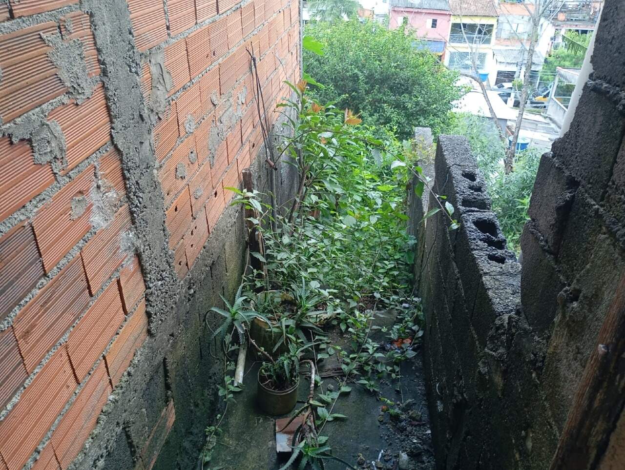 Quintal dos fundos