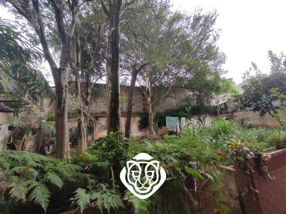 Quintal