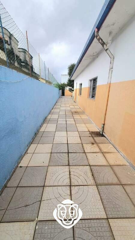 Quintal lateral