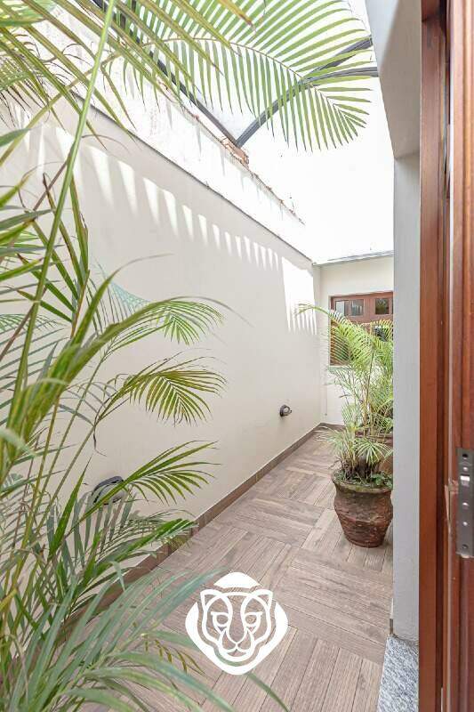 Jardim de invero