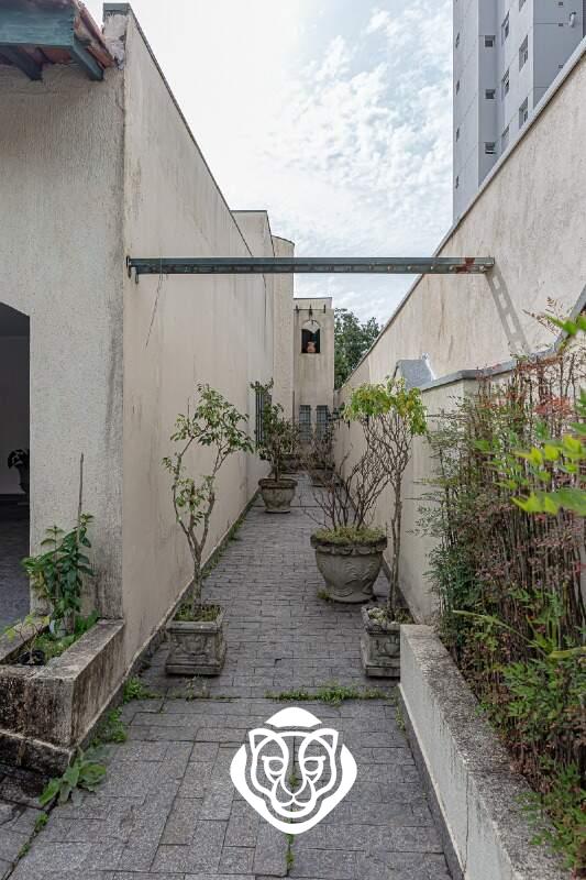 Corredor lateral externo