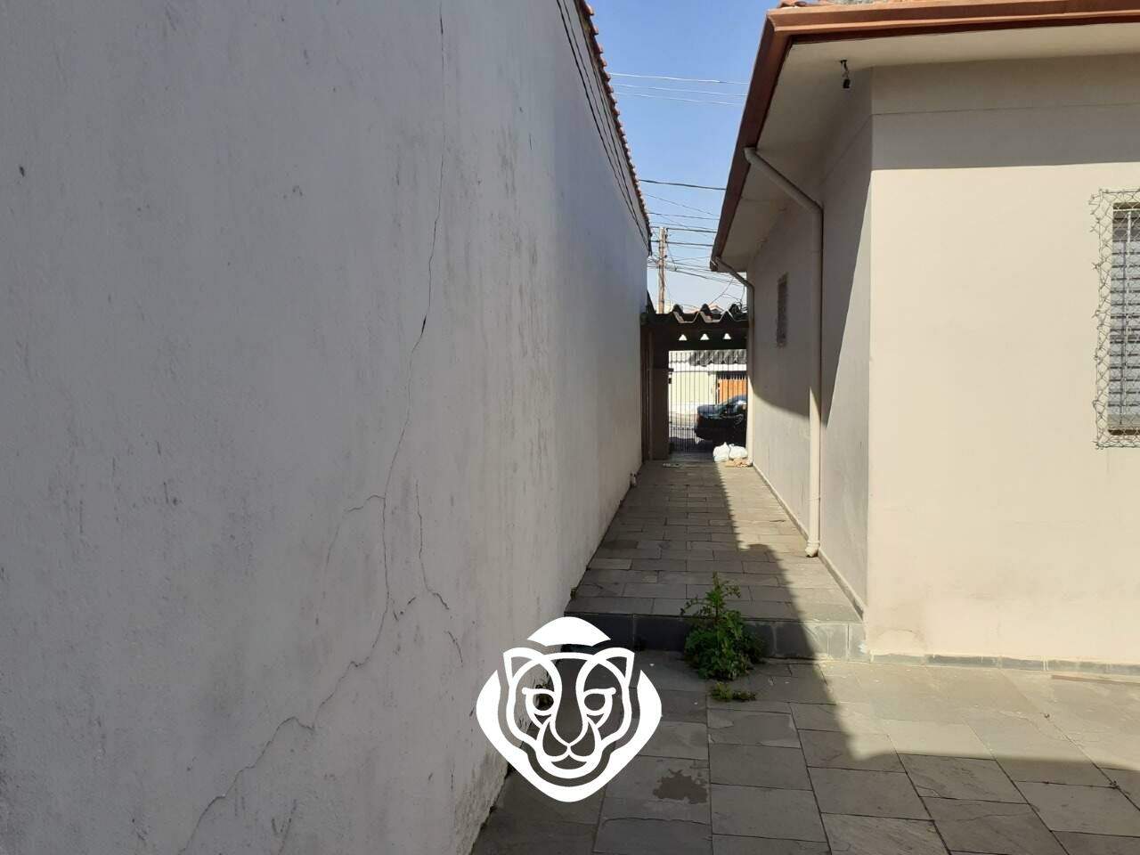 Terreno