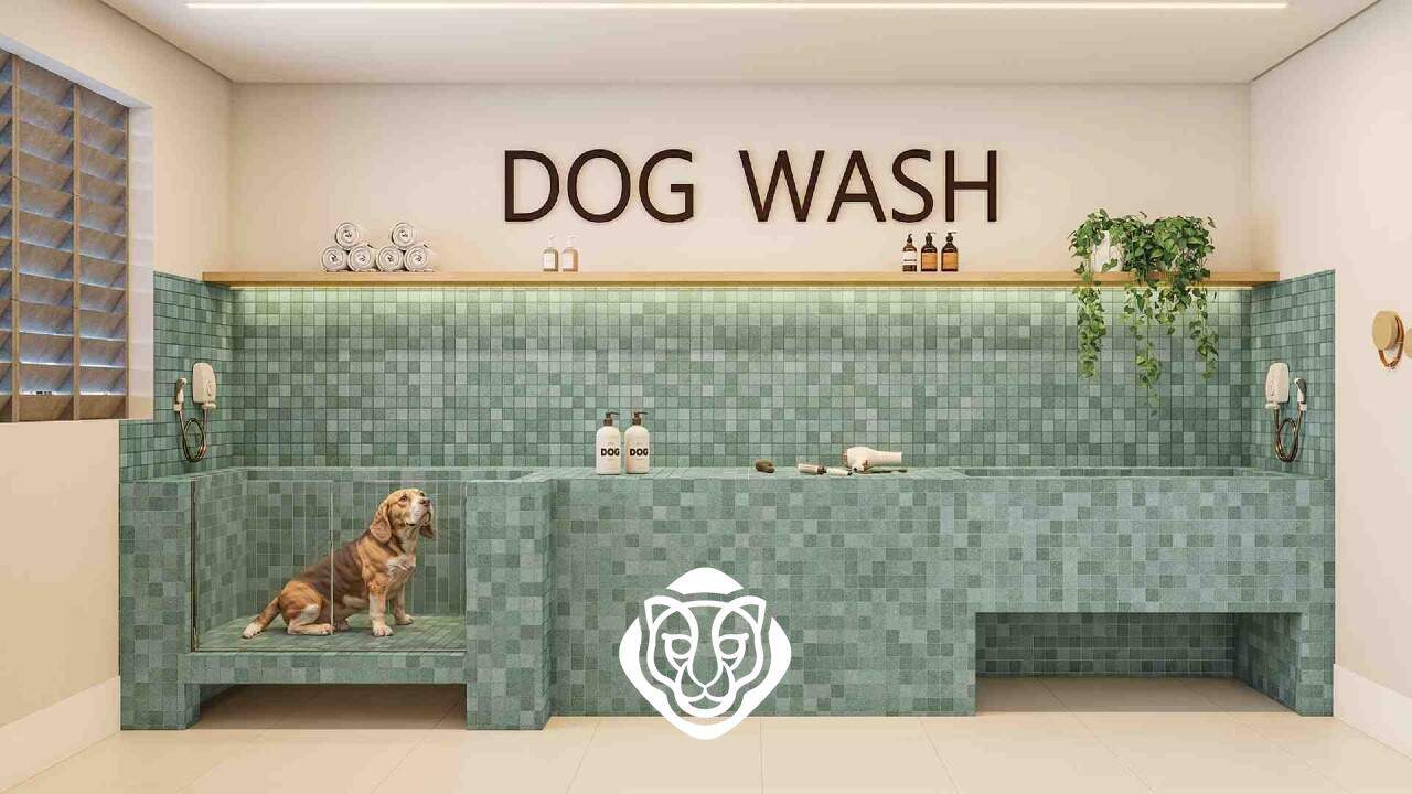 Dog wash