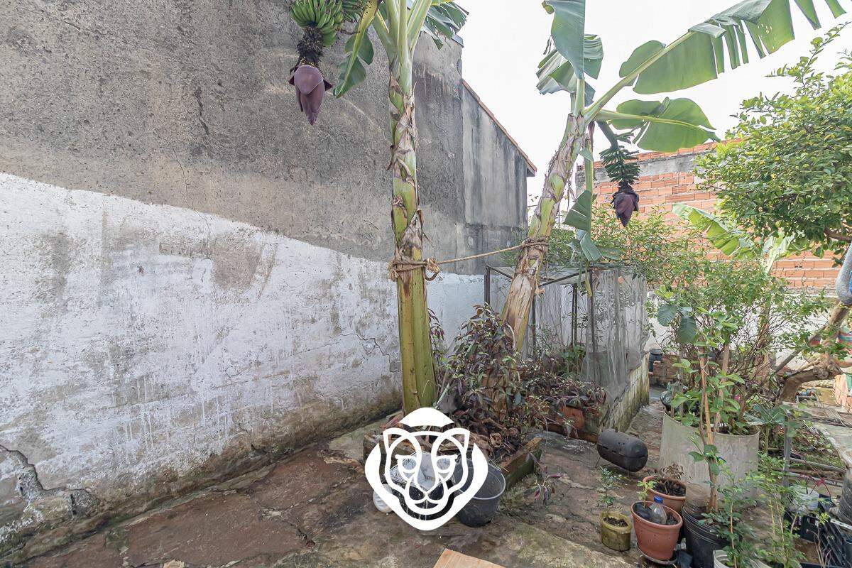 Quintal