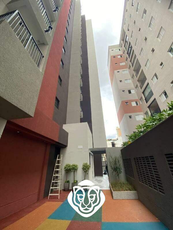 Vista lateral