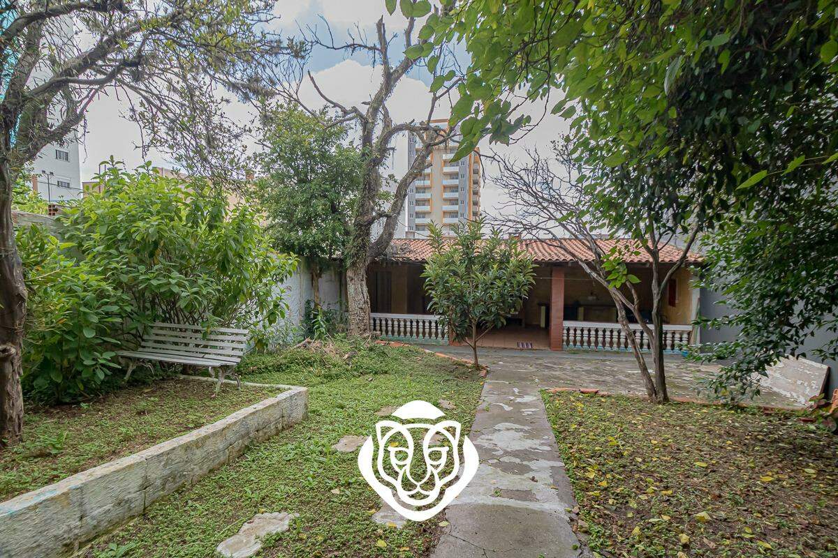 Jardim / Quintal