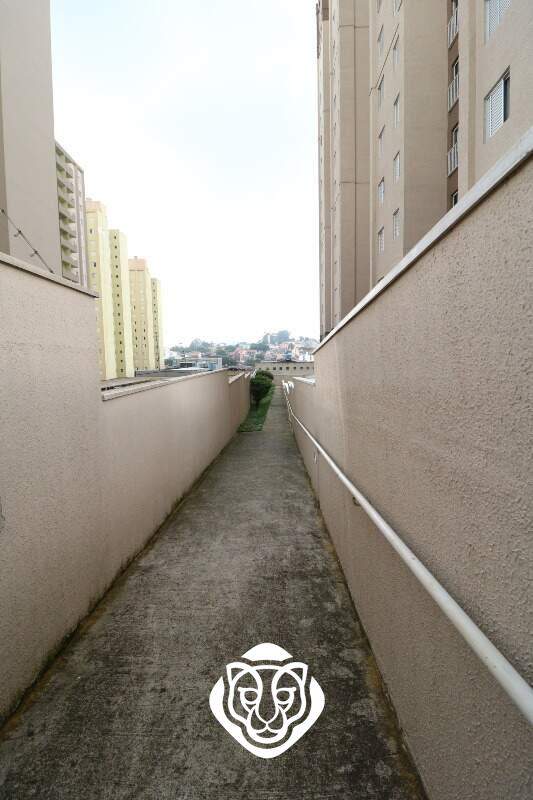Pista de caminhada pets