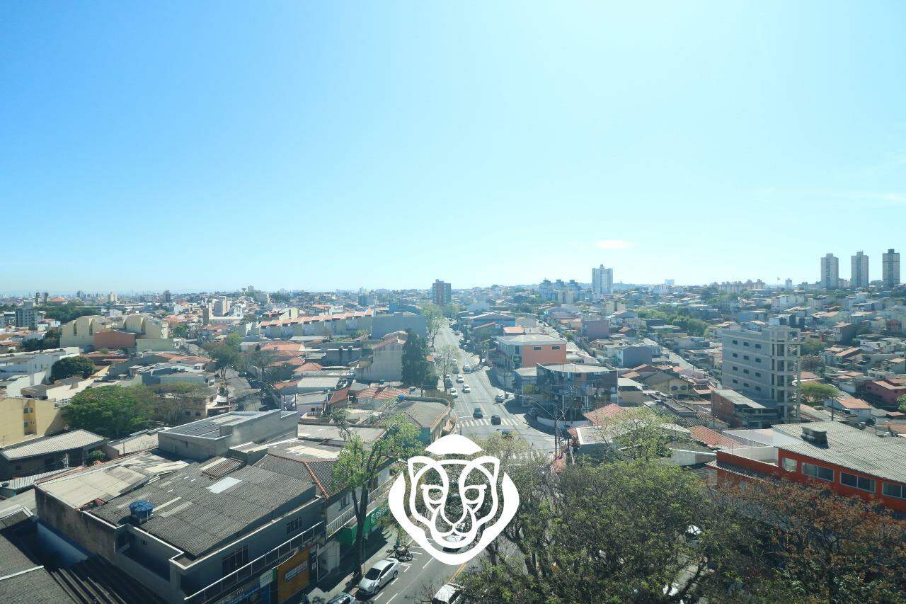 Vista