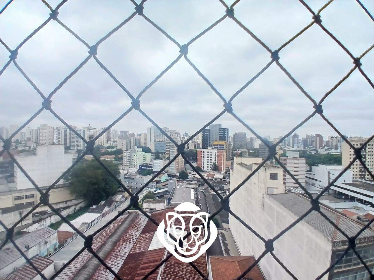 Vista