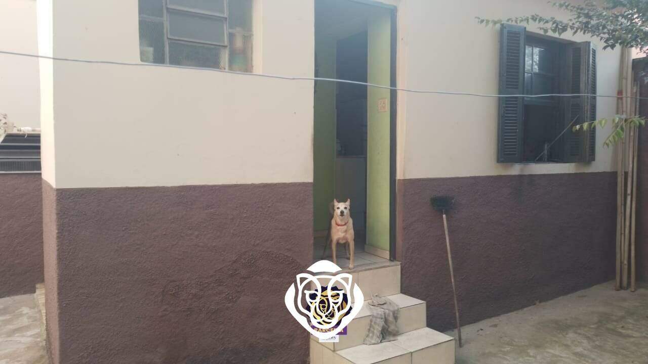 Quintal fundos 