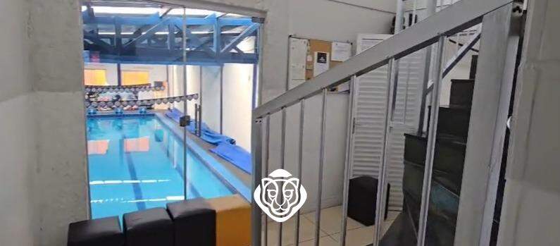 Escada para Musculção