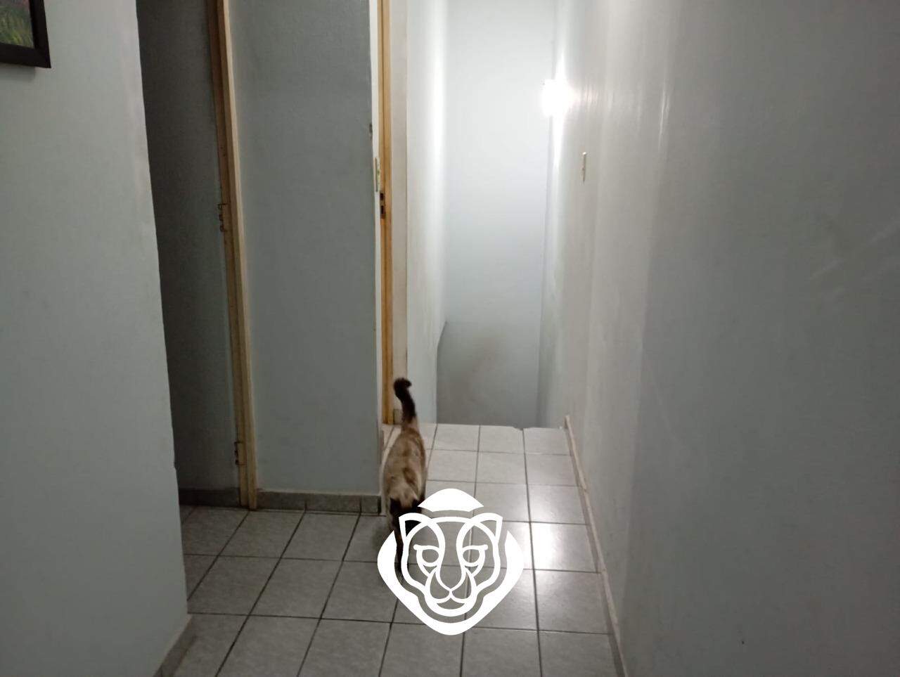 Corredor interno superior