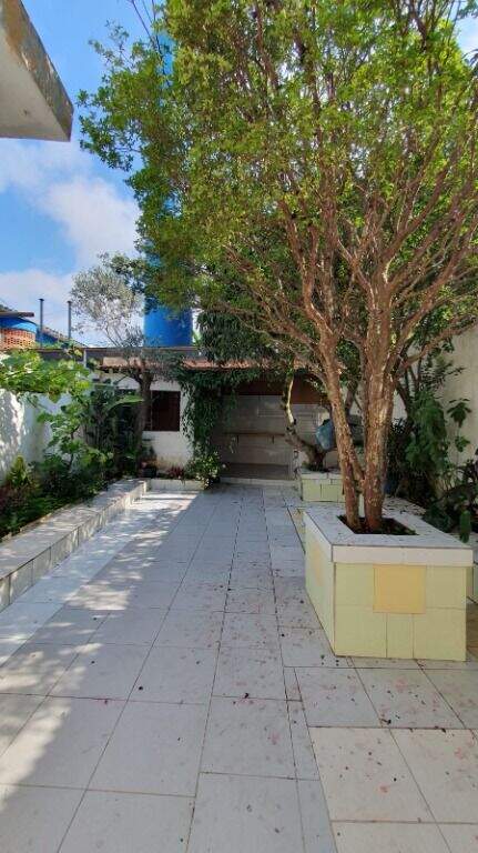 Quintal