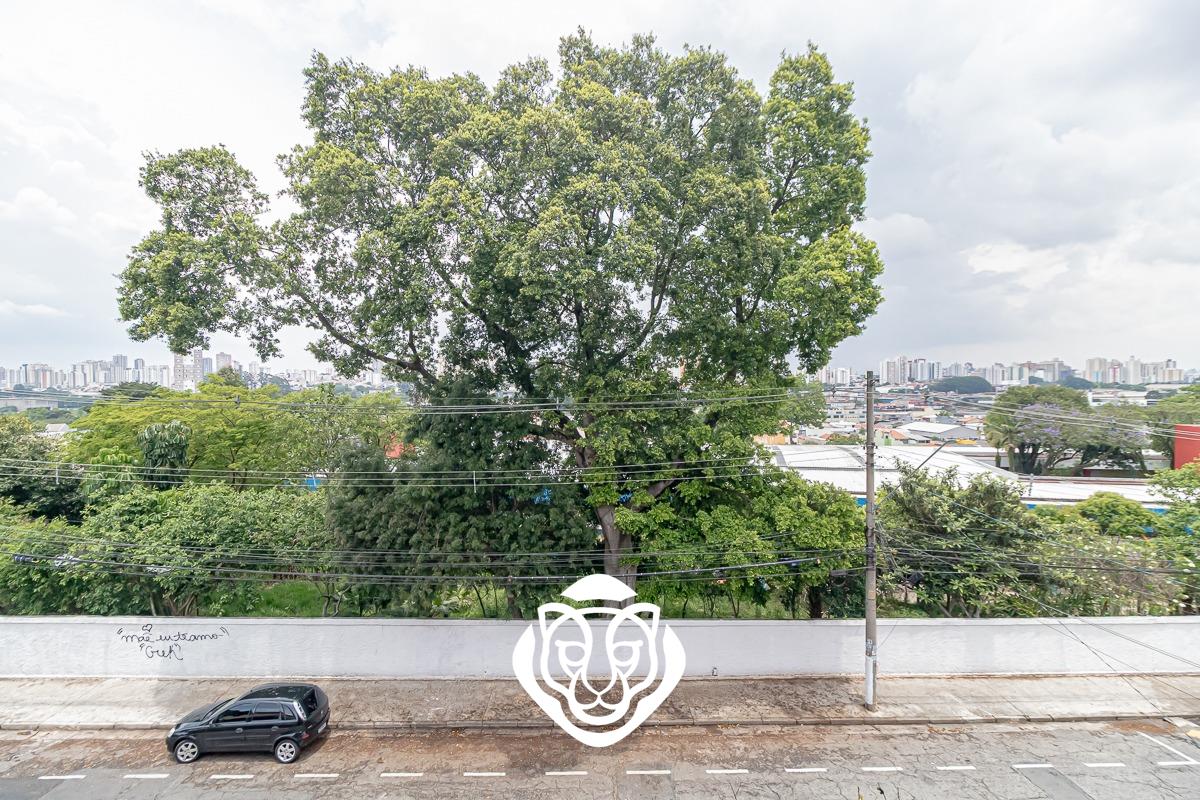 Vista dormitório II