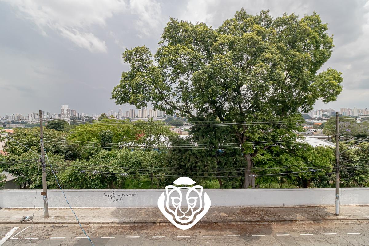 Vista dormitório II