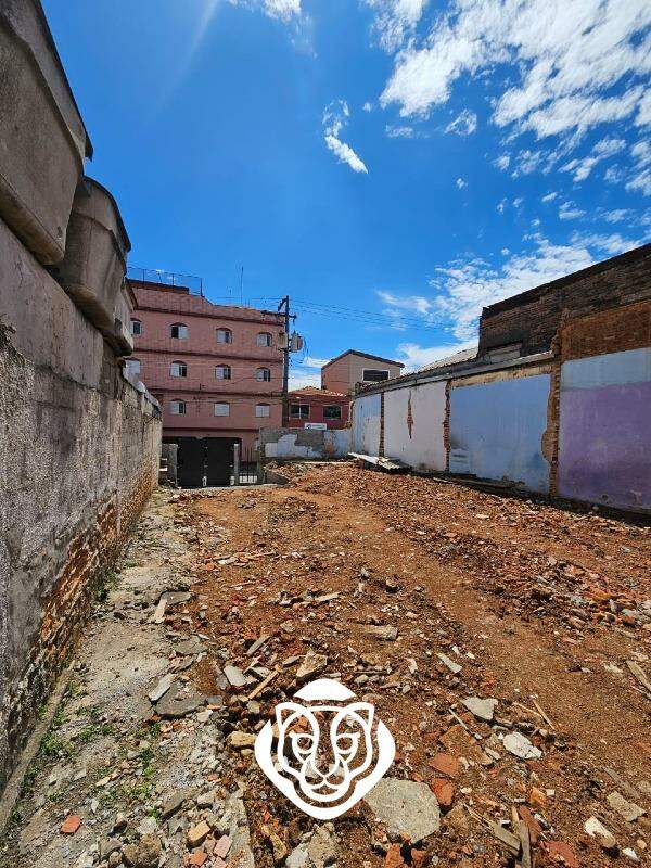 Terreno