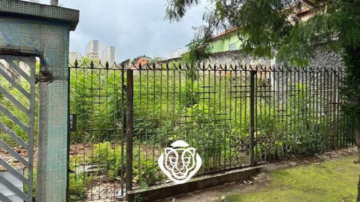 frente terreno
