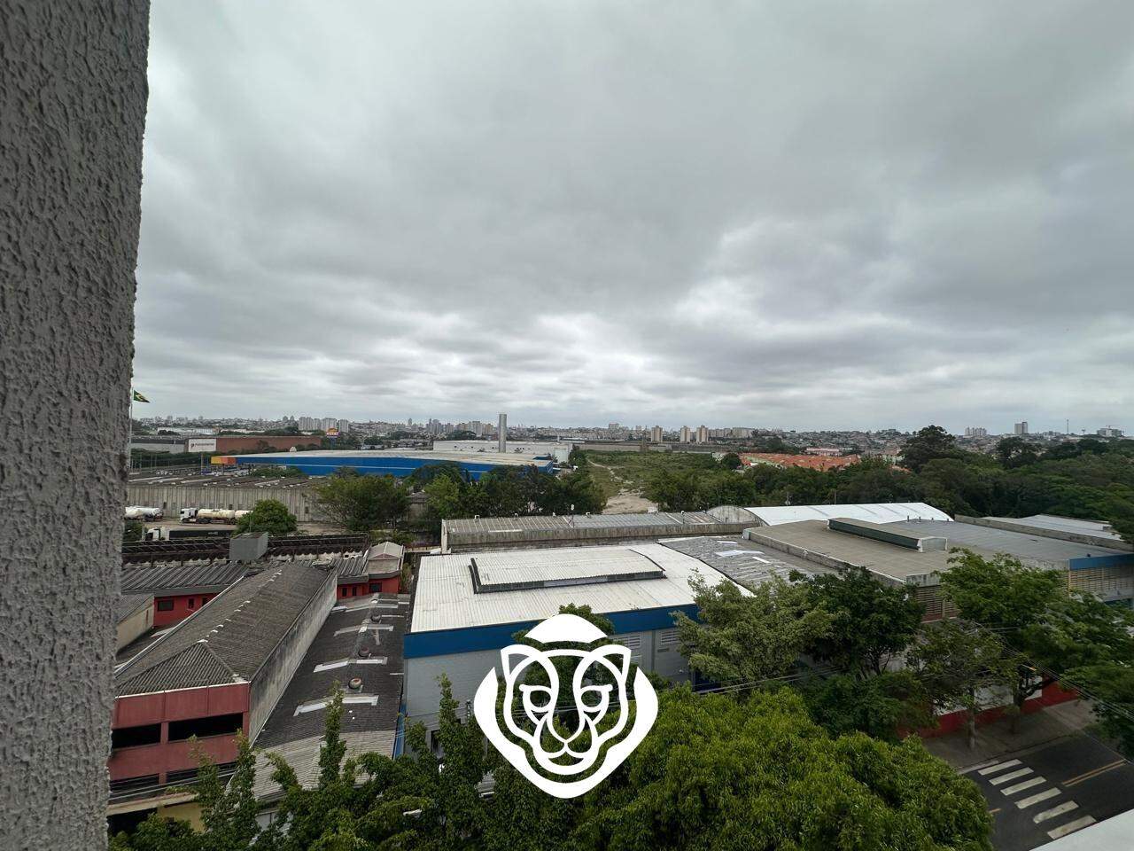 Vista