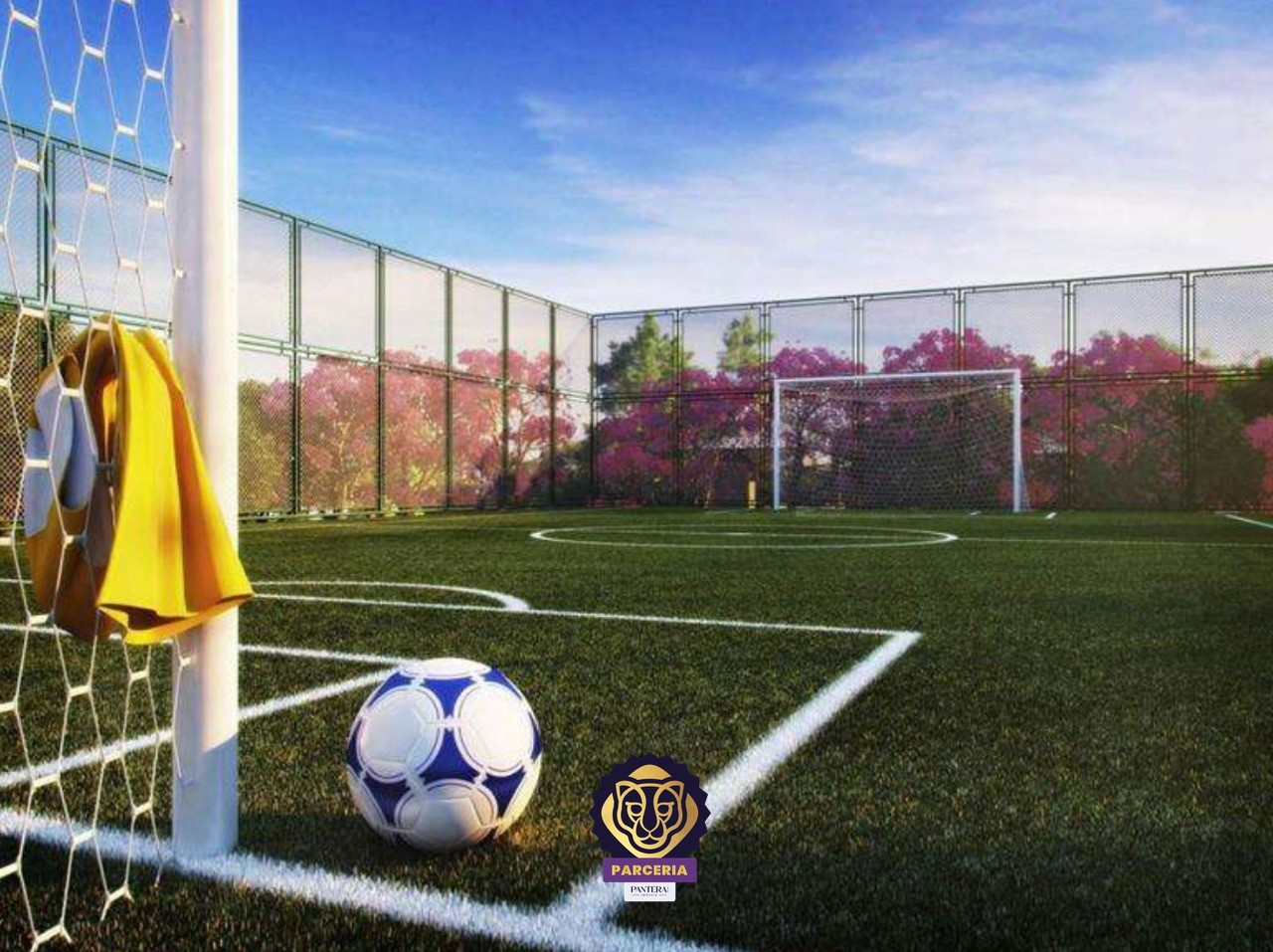 Campo de futebol (projeto)