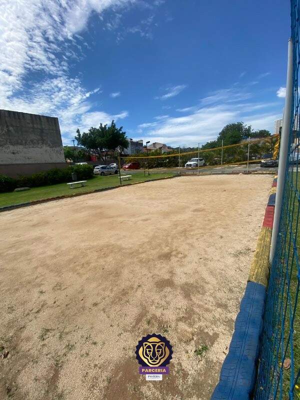 Campo