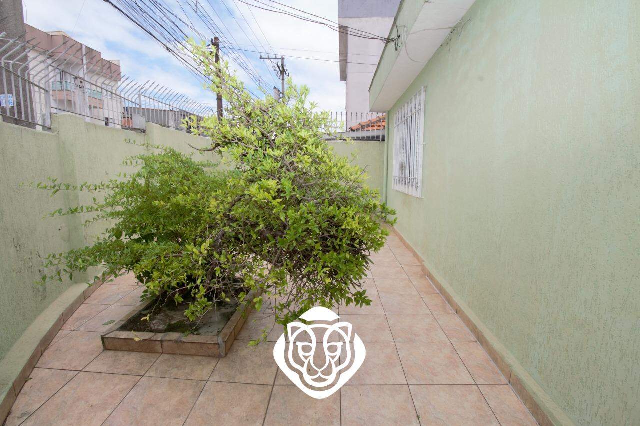 Jardim 